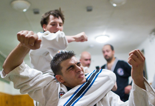 <h1>„Nem fáj, nem hapkido” – tartják a mesterek. Az Eb-n két első helyet szerző Farkas Attila itt épp a szintén aranyérmes Vörös Tamás szorításában</h1>-